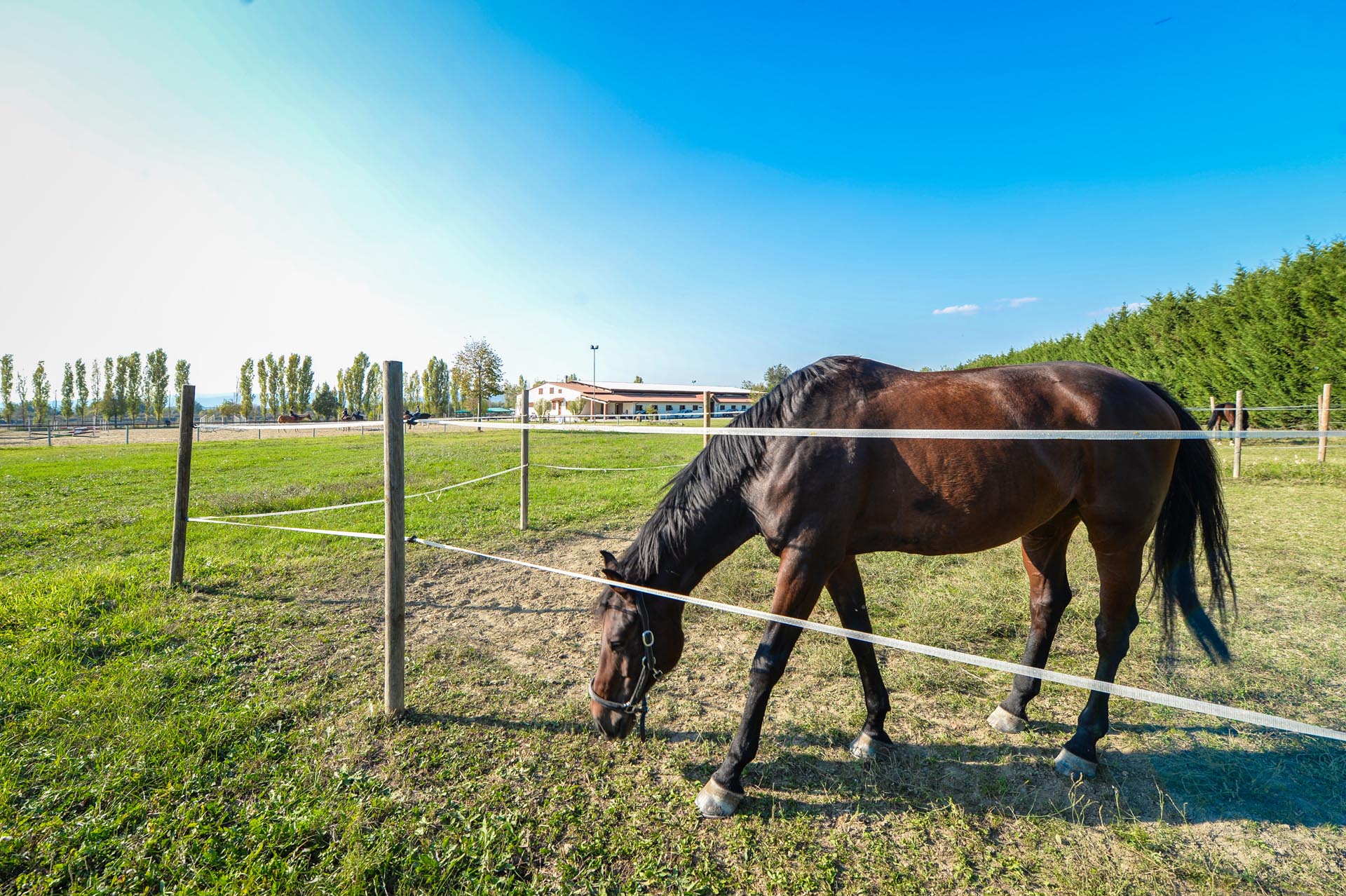 CAVALLI, EQUITAZIONE, POLO: MANEGGI, AGRITURISMI, VILLE & CASALI IN CAMPAGNA CON SCUDERIE